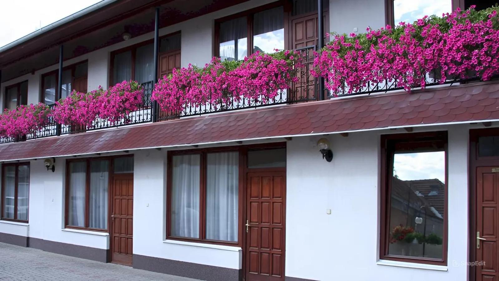 Hegyalja Fogado Bed & Breakfast Sarospatak Exterior photo